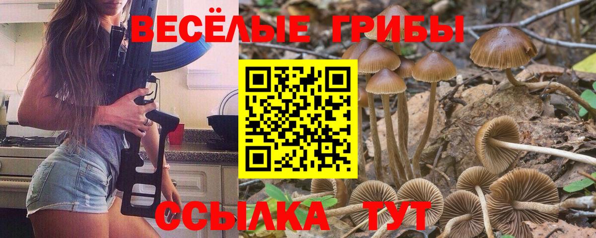 Галлюциногенные грибы MAGIC MUSHROOMS Новый Уренгой